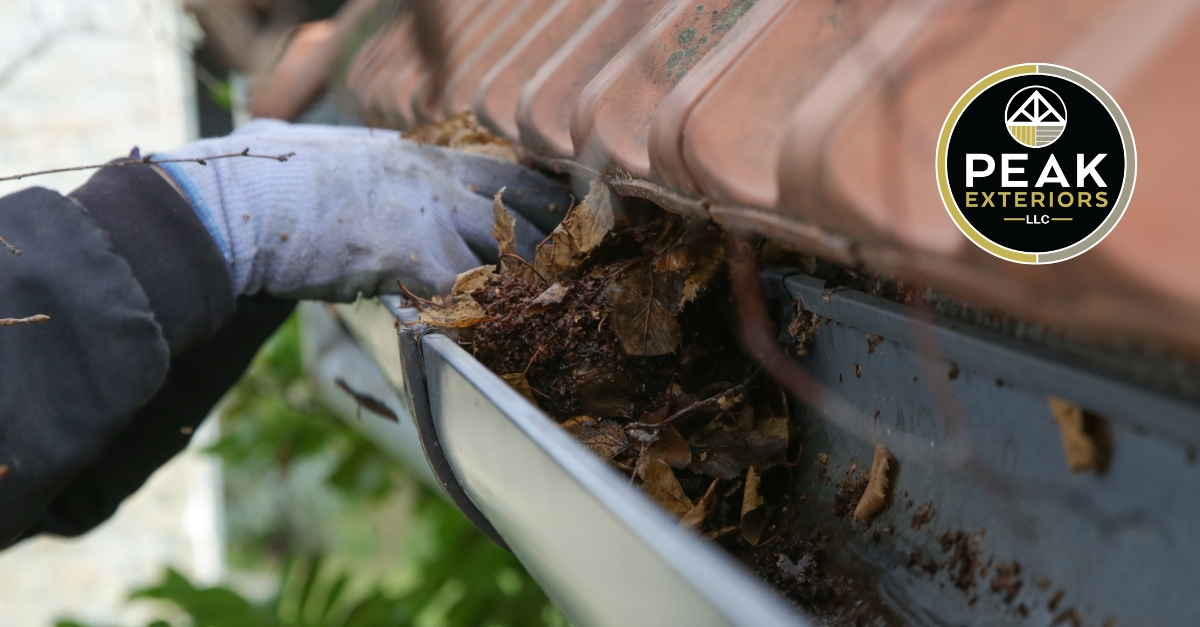 The Importance of Gutter Maintenance for a Healthy Roof